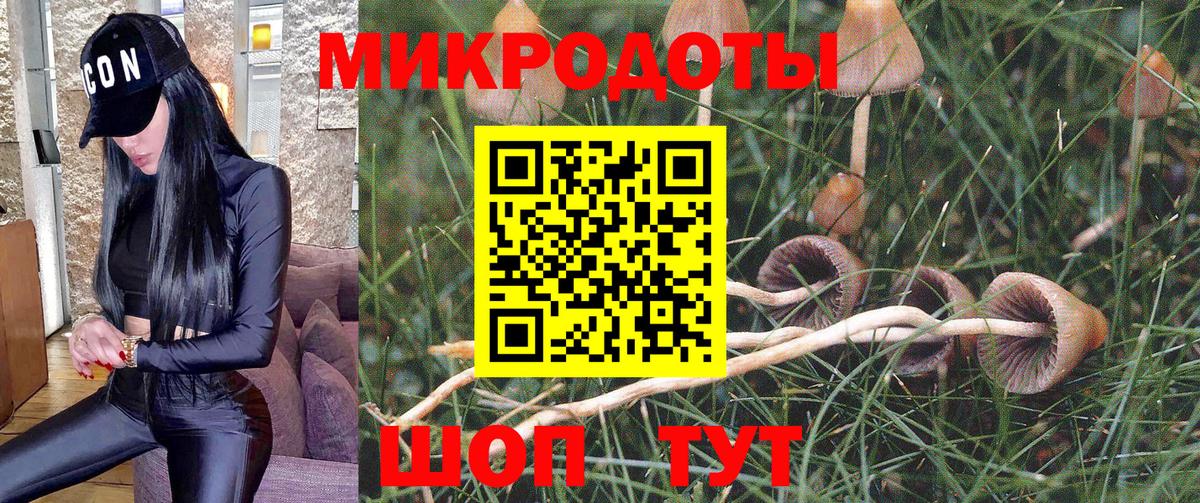 Галлюциногенные грибы Magic Shrooms  Вход с VPN  Знаменск  Галлюциногенные грибы Cubensis 